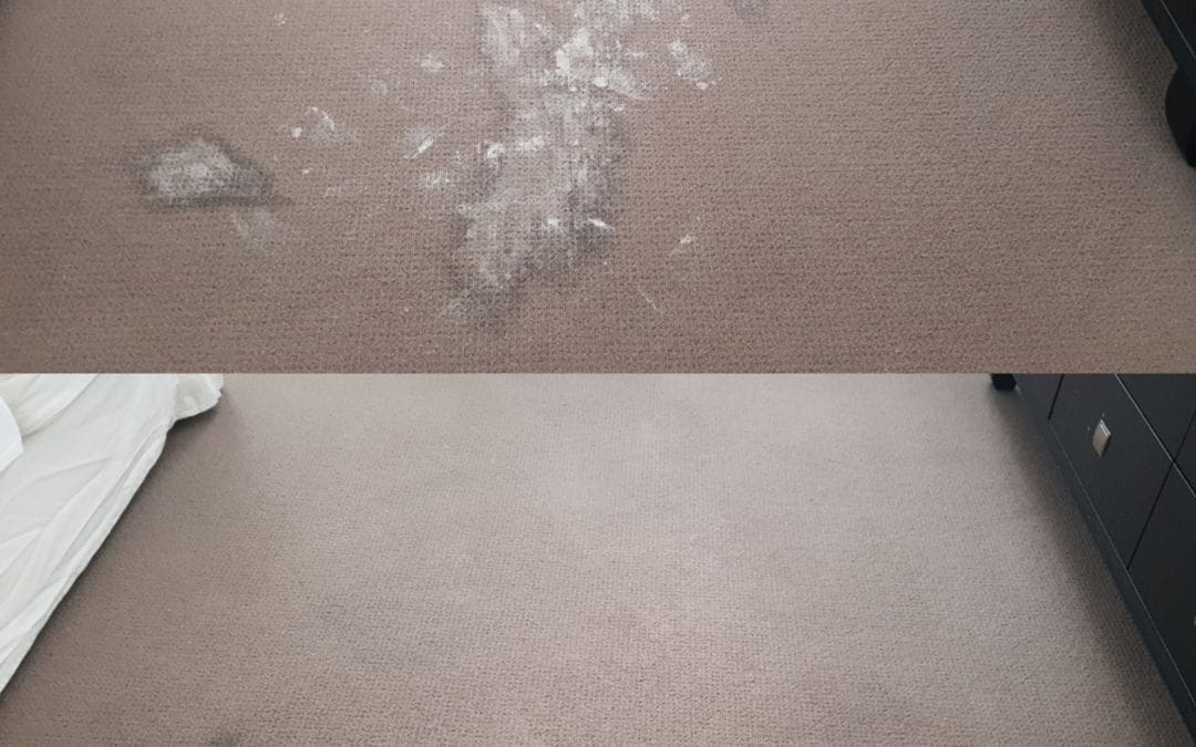 Carpet Clean