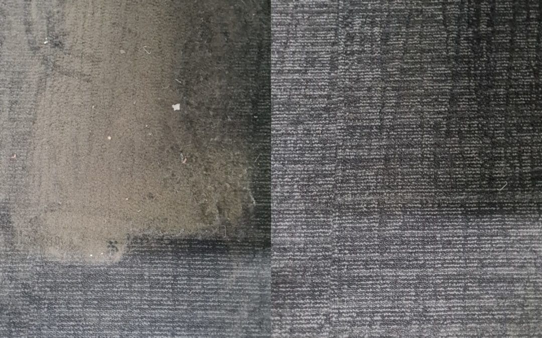 Office carpet deep steam clean, Lidcombe