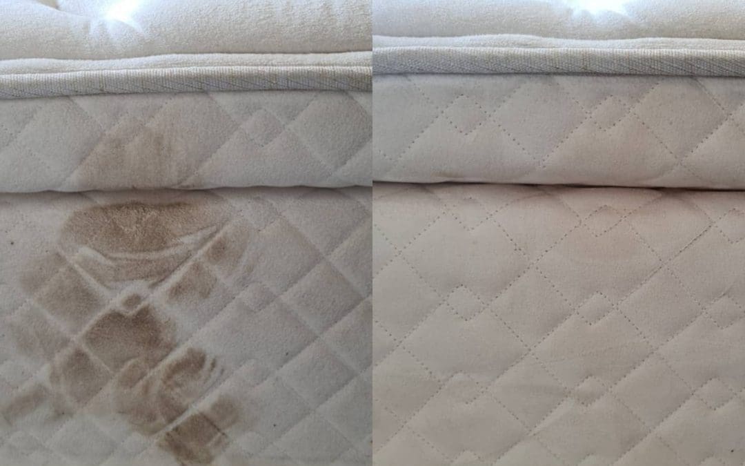 How Often Should You Professionally Clean Your Mattress?