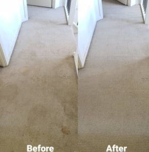 carpet cleaning