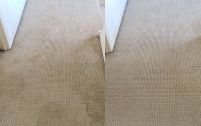 Carpet Cleaning St Mary’s