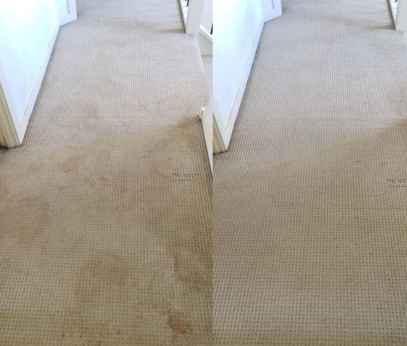 Carpet Cleaning St Mary’s