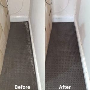 mould cleaning