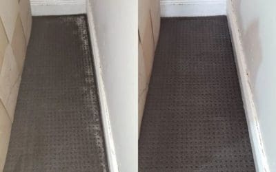 Fairfield Carpet & Mould Clean