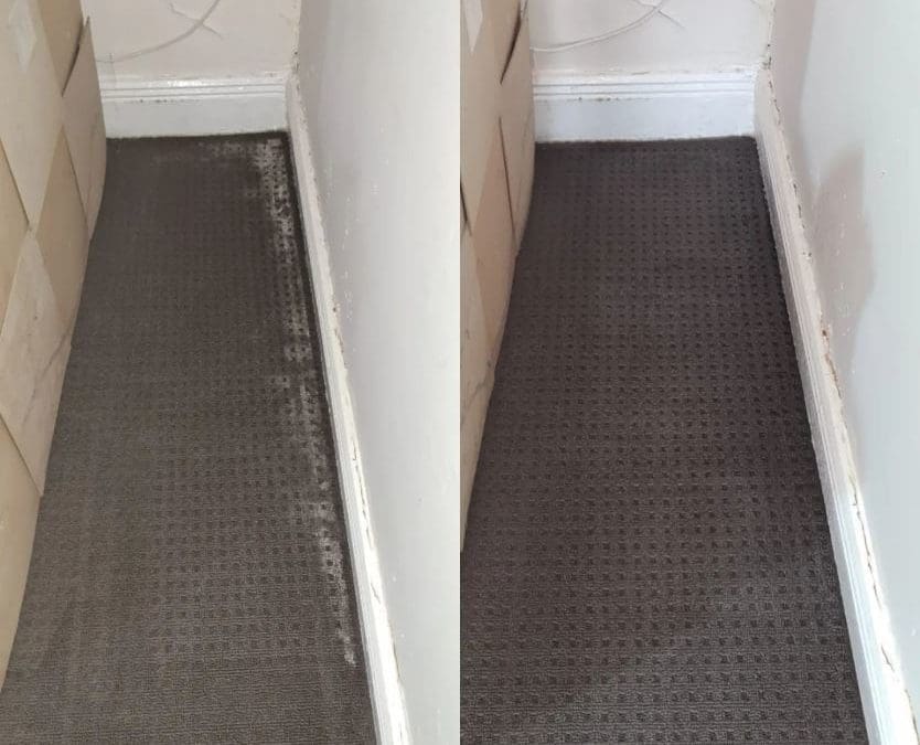 Fairfield Carpet & Mould Clean