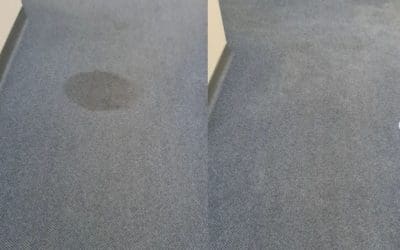 How to Remove Common Commercial Carpet Stains: Expert Advice on DIY and Professional Treatments
