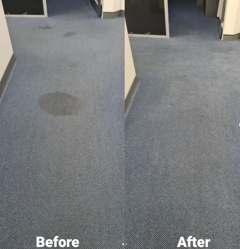 commercial carpet stain cleaning Parramatta