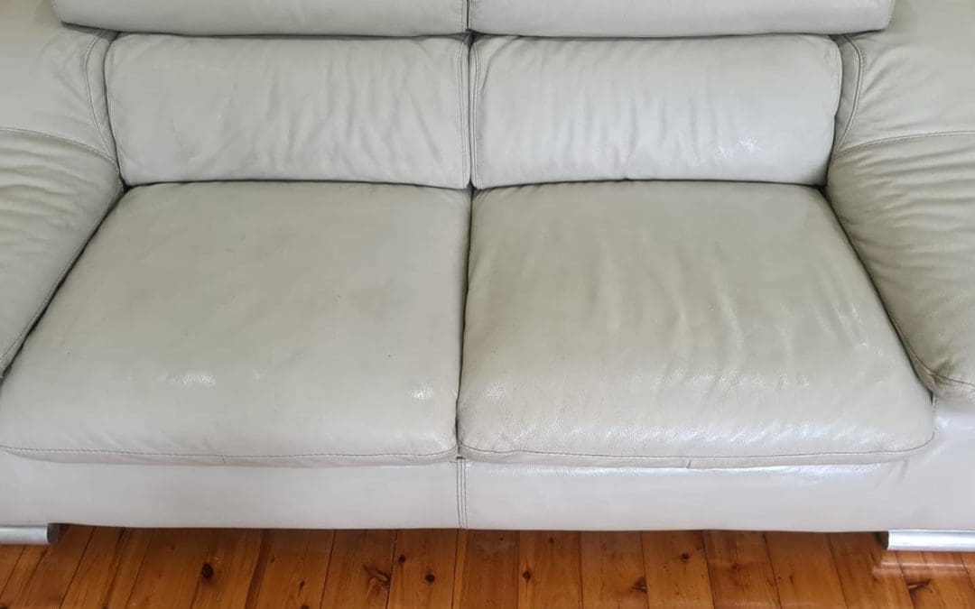 The Hidden Dust and Germs in Your Couch: Why Cleaning is Crucial for Your Health