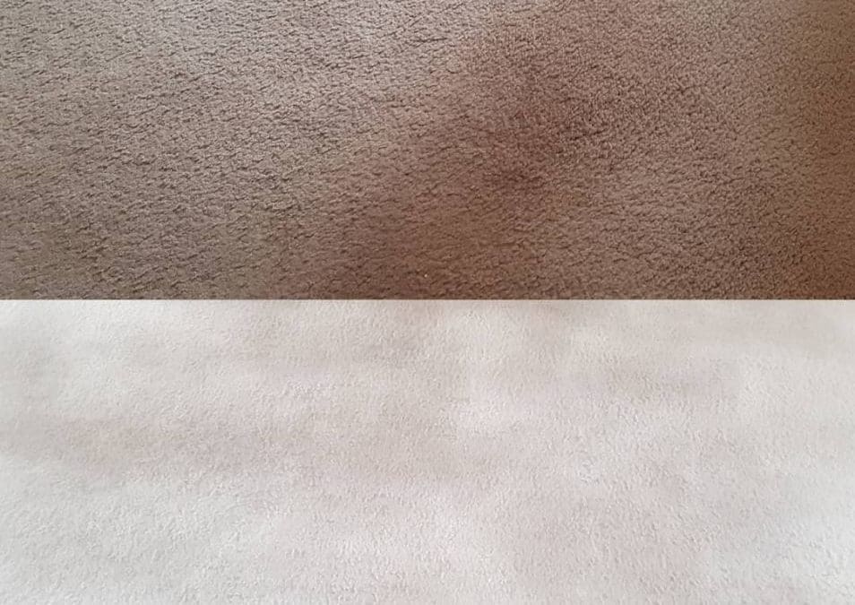 Carpet Clean, Glenfield