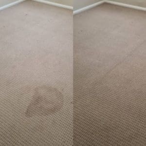 carpet cleaning