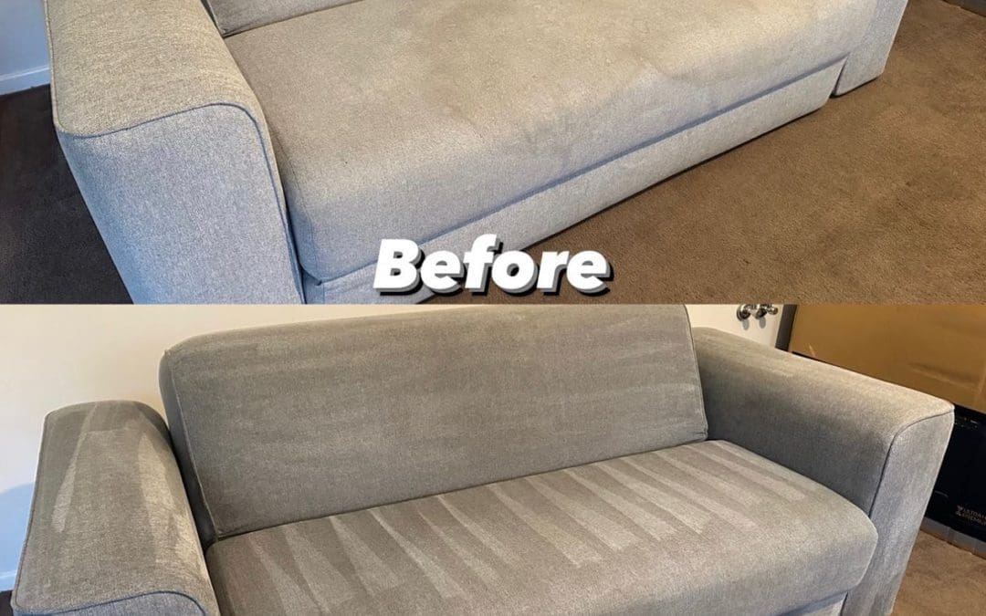 Couch Clean, Forestville