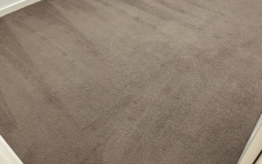End of Lease Carpet Clean, Penrith