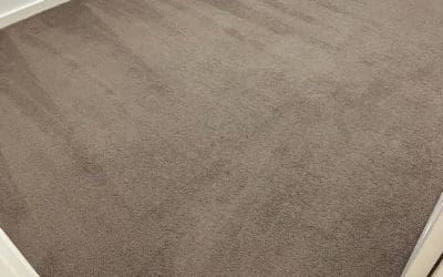 End of Lease Carpet Clean, Penrith