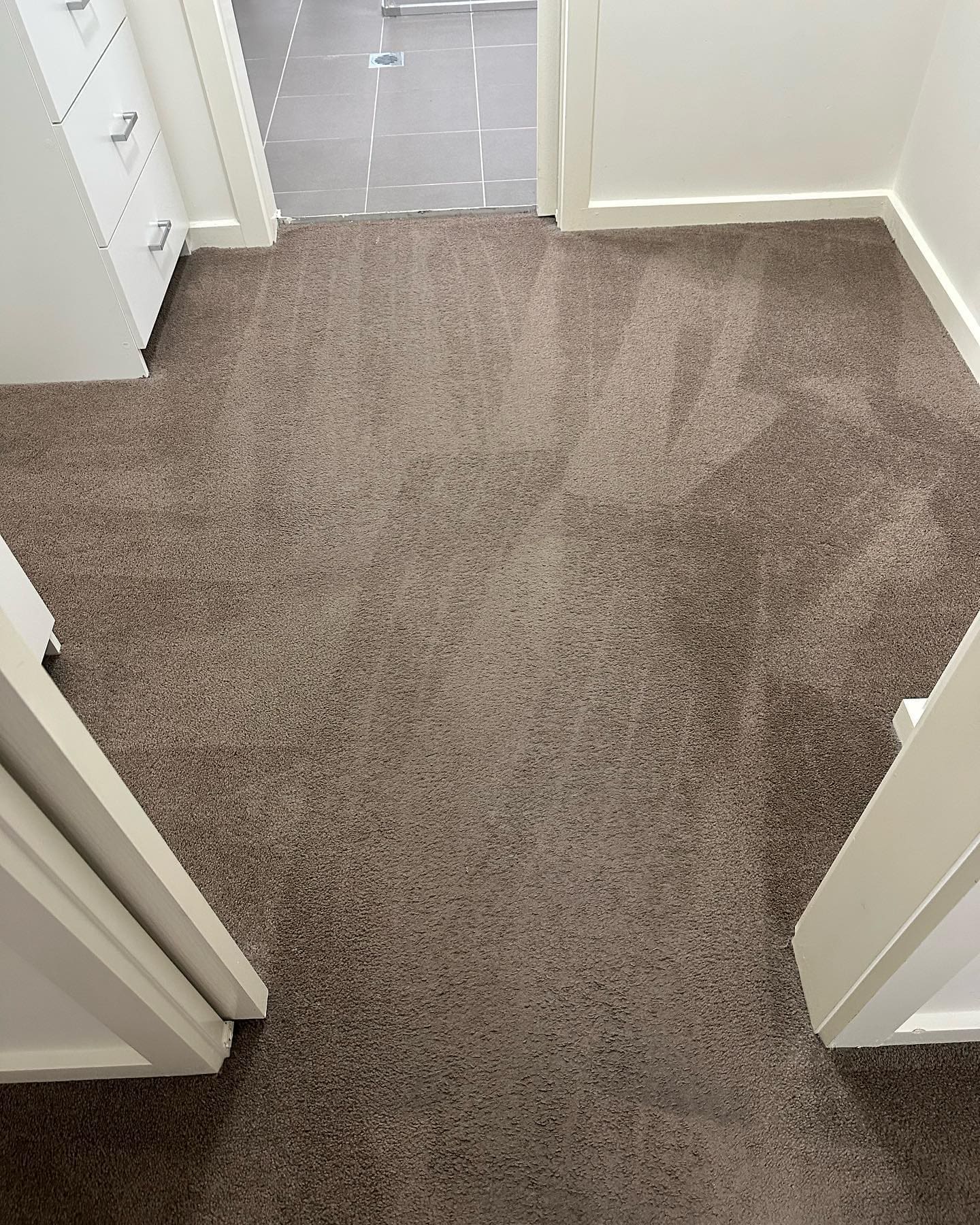 Professional carpet cleaning in Penrith. Carpet care in Sydney