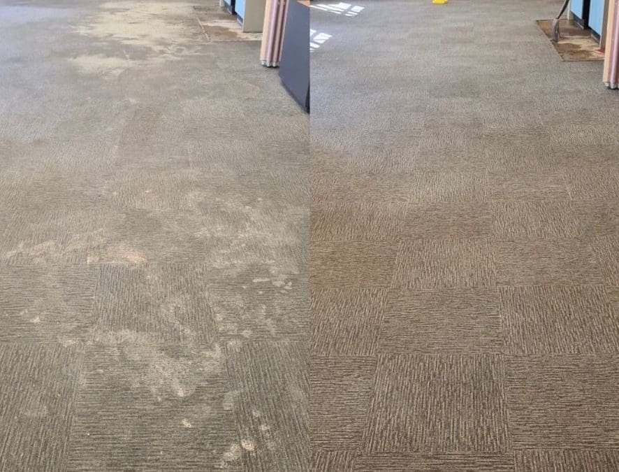 Water Extraction and Carpet Cleaning, Brookvale