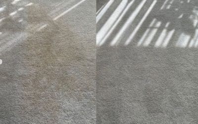 Carpet Cleaning, Bowral