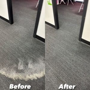 Carpet Stain Removal Seven Hills