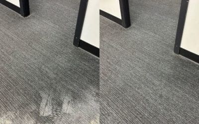 Carpet Stain Removal, Seven Hills