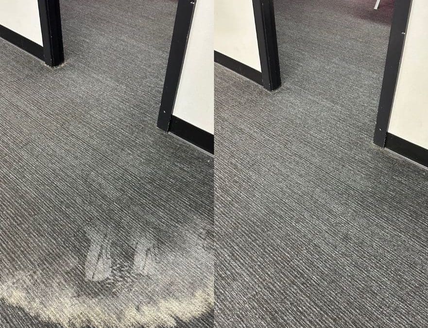 Carpet Stain Removal, Seven Hills