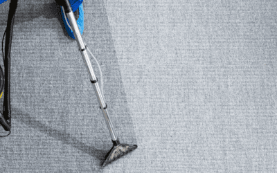 When is the best time to clean your carpets?