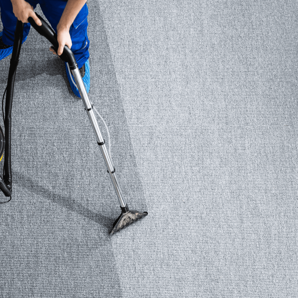 carpet cleaning